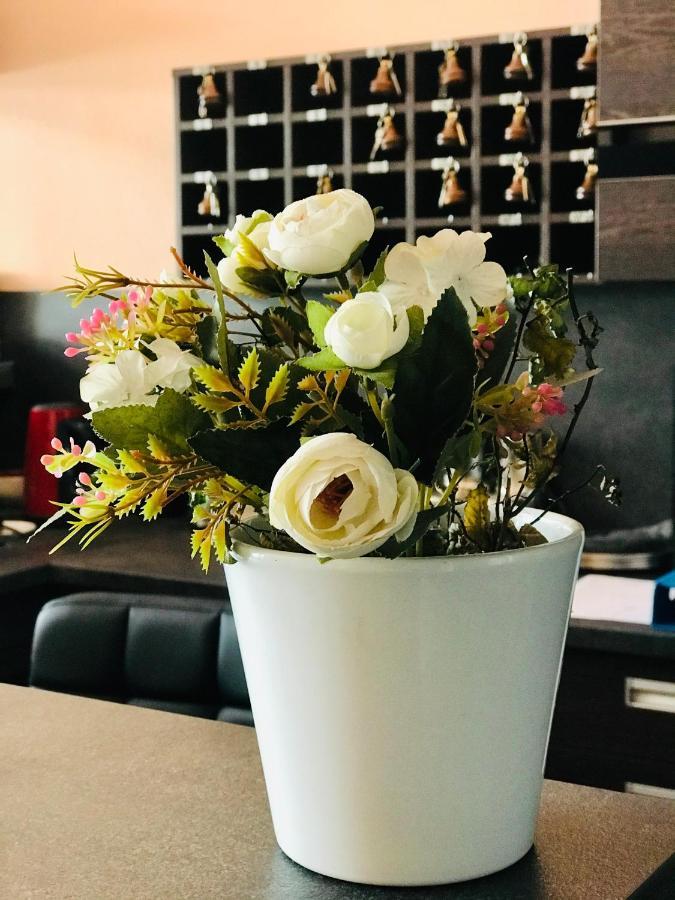 Hotel Bila Ruze Strakonice Bagian luar foto